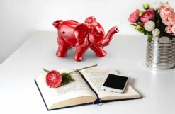 Shop elephant novelty pipe - red color in australian