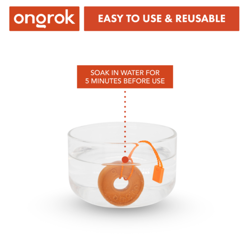 Shop Ongrok Humidifying Stones in australian