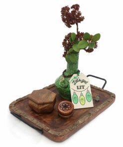 Shop My Bud Vase - Woodland Turtle Set in australian