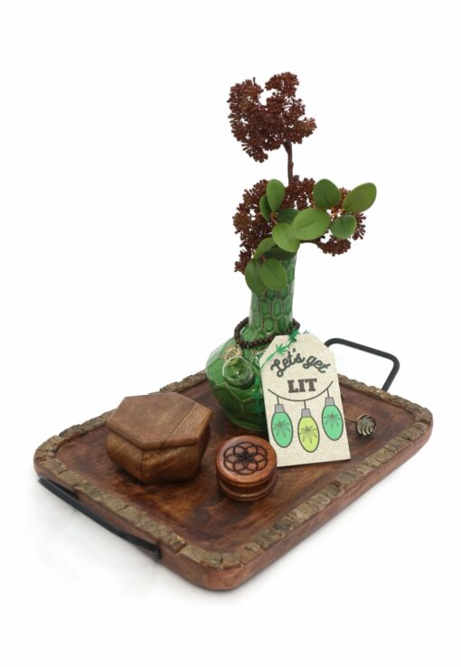 Shop My Bud Vase - Woodland Turtle Set in australian