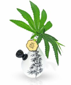 Shop My Bud Vase - Love Bud elegant bong in australian