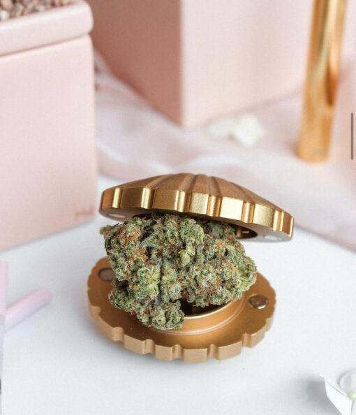 Shop Stay Golden Seashell Weed Grinder in australian