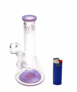 Shop Envy Glass Banger Hanger Dab Rig - Purple in australian